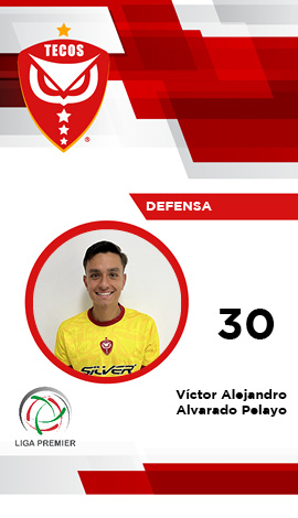 Defensa